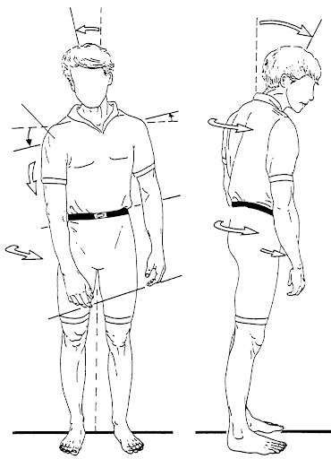 Pelvic Correction Technique (PCT)